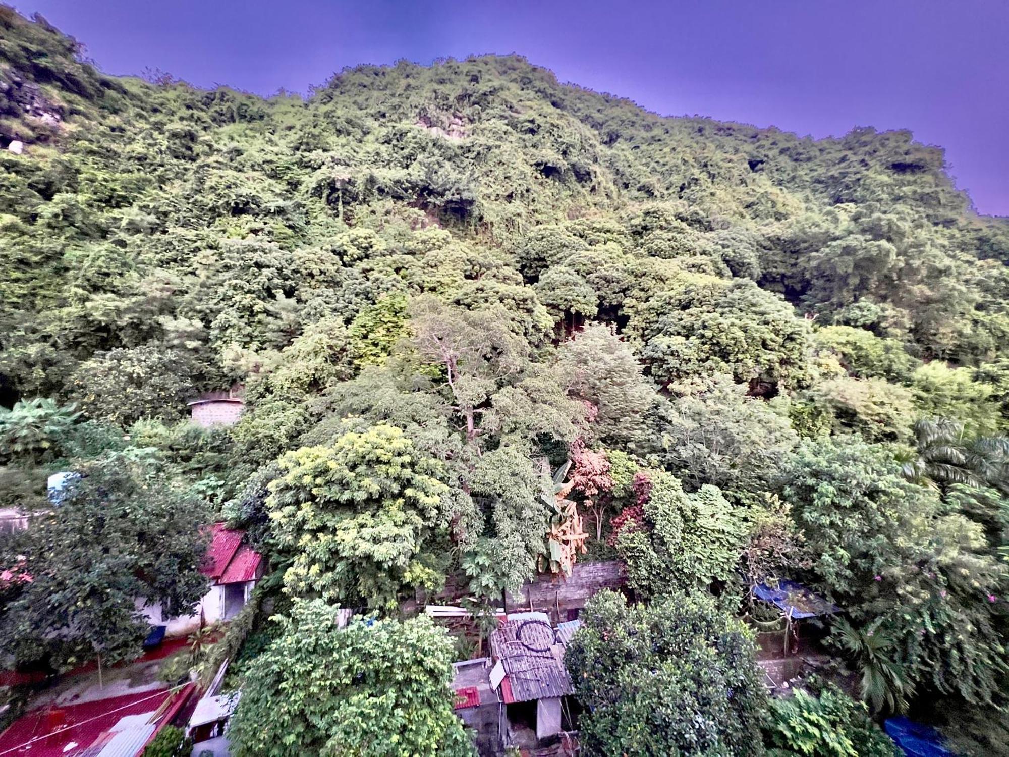 Manh Vuong Hotel Catba Dong Khe Sau Exterior photo